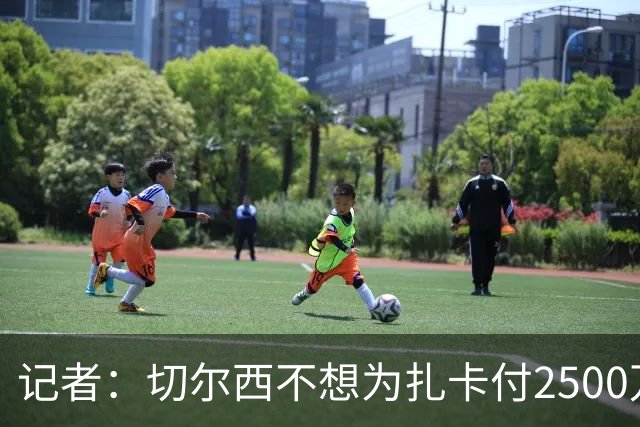 记者：切尔西不想为扎卡付2500万镑，球员已33岁且合同剩2年